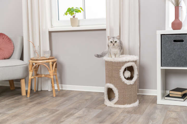 TRIXIE Kratztonne Edoardo